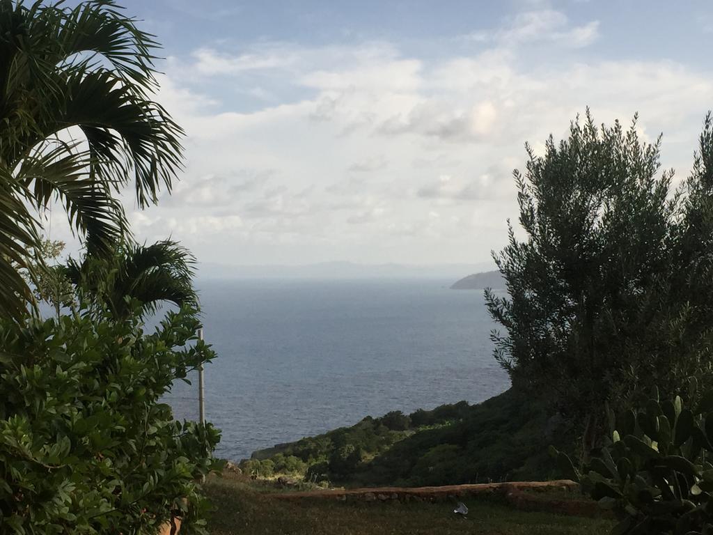 El Monte Azul Bed and Breakfast Las Galeras Eksteriør billede